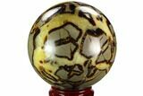Polished, Septarian Sphere - Madagascar #125485-1